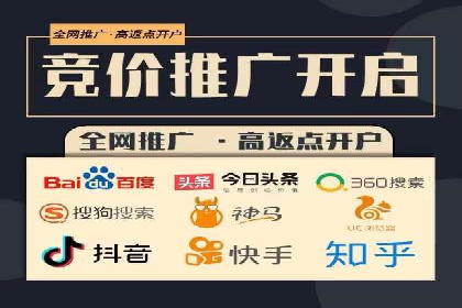 优化搜索流量：SEO技巧的多个成功案例